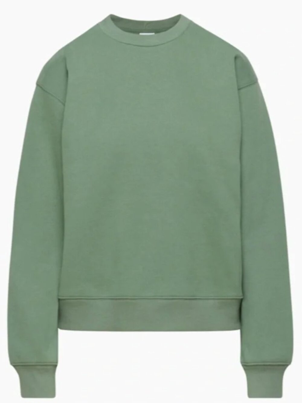 Aritzia TNA Cozy Sweatfleece Perfect Crew Sweatshirt in Gallery Green